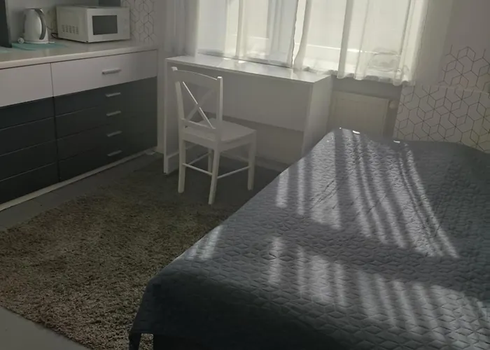 Kawalerka W Centrum Leszna.